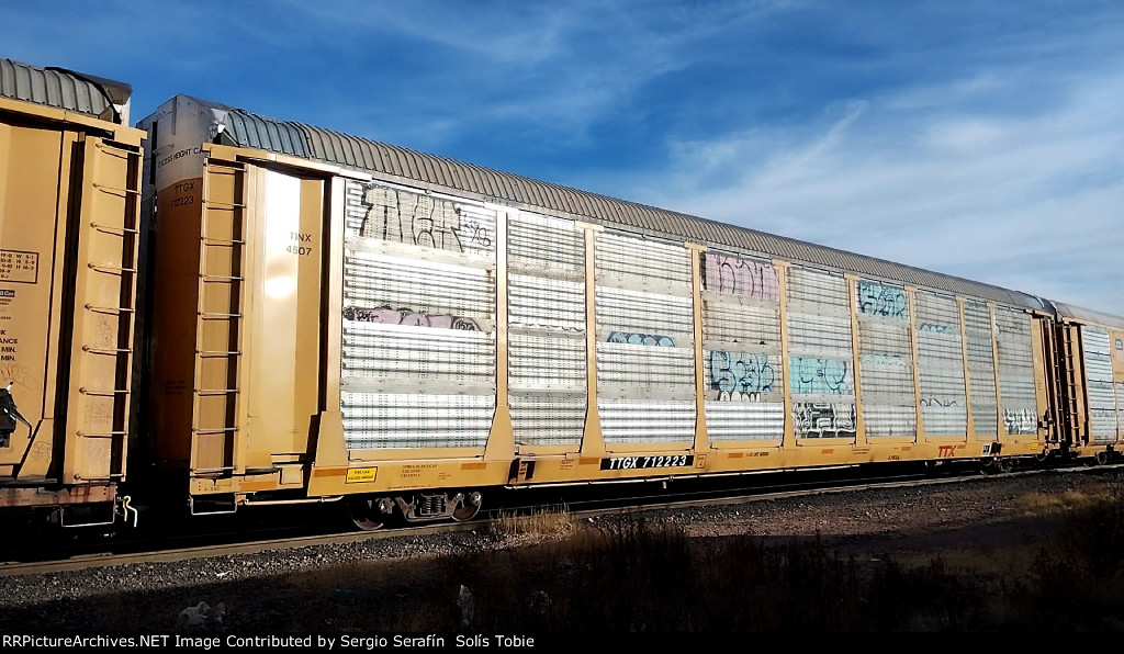 TINX 4507 TTGX 712223